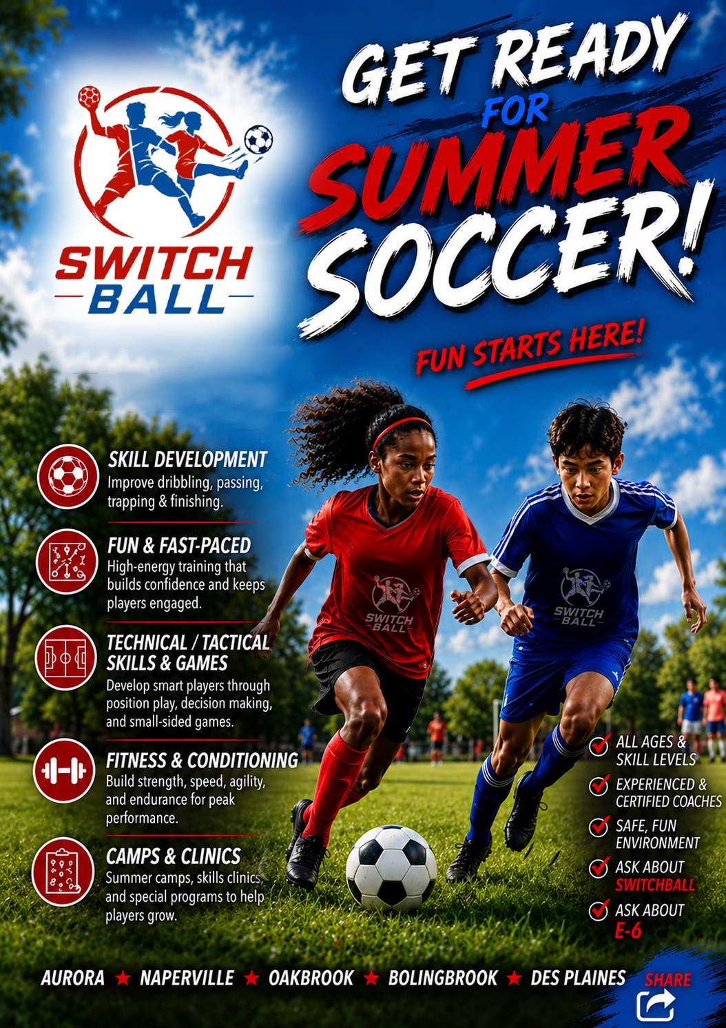 Switch Ball Programs and Features